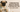 Common Pug Health Issues & Prevention Tips  Pug Care Guide